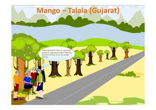 Mango – Talala (Gujarat)
 