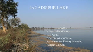 J JAGADISPUR LAKE
presented by
Name : Pabitra Pandey
Roll No :12
B.Sc. Fisheries( 6th Sem)
Agriculture and Forestry university
Rampur, Chitwan
12/1/2022 1
 