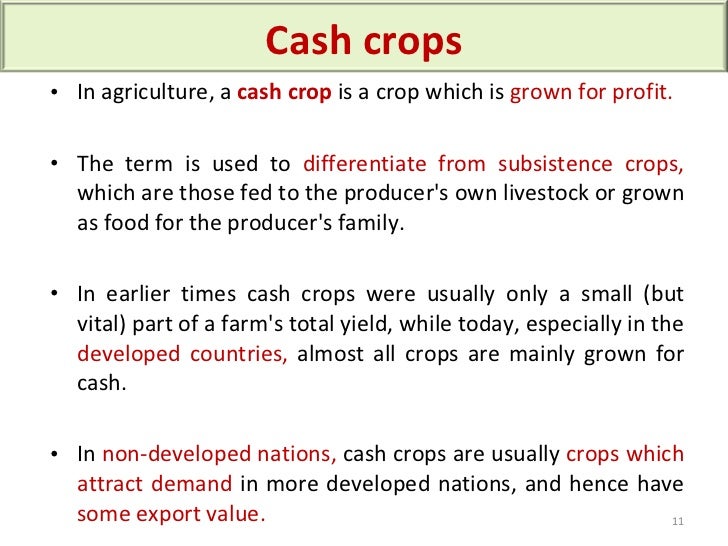 trade performance in cash crops