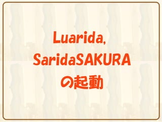 Luarida,
SaridaSAKURA
    の起動
 