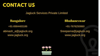 Presentation For Software Company