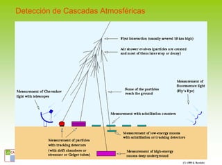 Detección de Cascadas Atmosféricas




         Juan A. Garzón. Proyecto Trasgo. E. Politécnica, Ferrol 30.9.2009
 