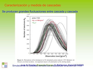 Caracterización y medida de cascadas
Se producen grandes fluctuaciones entre cascada y cascada




       Simulación de A. Garzón. Proyecto Trasgo. E. Politécnica, Ferrolde 1 PeV
               Juan 50 cascadas atmosféricas inducidas por un protón 30.9.2009
 