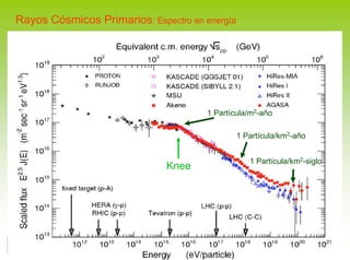 Rayos Cósmicos Primarios: Espectro en energía




                                               1 Partícula/m2-año

                                                       1 Partícula/km2-año


                                                           1 Partícula/km2-siglo
                                    Knee




            Juan A. Garzón. Proyecto Trasgo. E. Politécnica, Ferrol 30.9.2009
 