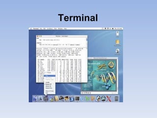 Terminal   