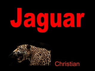 Jaguar Christian 