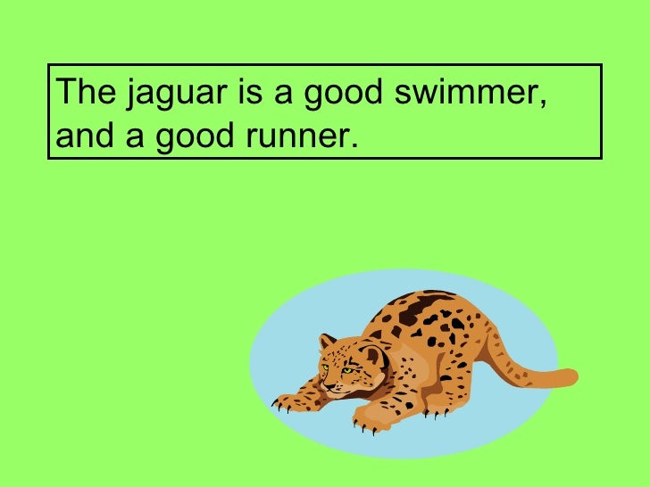 Jaguar