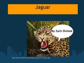 Jaguar By Zach Shimek http://static.toucanart.com/product_files/5715/7/pic1.jpg 