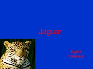 Jaguar Egert Välimets 
