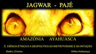 AMAZÔNIA AYAHUASCA
3. CIÊNCIA ÉTNICA E A GEOPOLÍTICA DA INSTINTIVIDADE E DA INTUIÇÃO
Mallku Chanez Willka Kallawaya
 