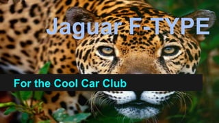 Jaguar F-TYPE
For the Cool Car Club
 