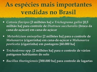 As espécies mais importantes
      vendidas no Brasil
 Cotesia flavipes [3 milhões ha] e Trichograma galloi [0,5
  milhão ha] para controle de Diatraea saccharalis (broca da
  cana-de-açúcar) em cana-de-açúcar

 Metarhizium anisopliae [2 milhões ha] para o controle de
  Mahanarva (cigarrinha) em cana-de-açúcar e Mahanarva
  posticata (cigarrinha) em pastagens [60.000 ha]

 Trichoderma spp. [2 milhões ha] para o controle de vários
  patógenos habitantes do solo

 Bacillus thuringiensis [300.000 ha] para controle de lagartas
 