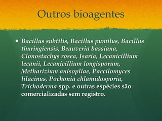 Outros bioagentes

 Bacillus subtilis, Bacillus pumilus, Bacillus
  thuringiensis, Beauveria bassiana,
  Clonostachys rosea, Isaria, Lecanicillium
  lecanii, Lecanicillium longisporum,
  Metharizium anisopliae, Paecilomyces
  lilacinus, Pochonia chlamidosporia,
  Trichoderma spp. e outras espécies são
  comercializadas sem registro.
 