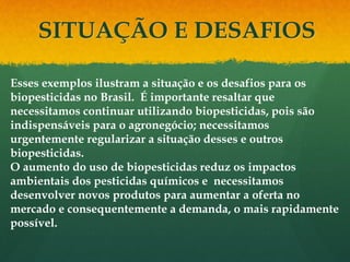 SITUAÇÃO E DESAFIOS

Esses exemplos ilustram a situação e os desafios para os
biopesticidas no Brasil. É importante resaltar que
necessitamos continuar utilizando biopesticidas, pois são
indispensáveis para o agronegócio; necessitamos
urgentemente regularizar a situação desses e outros
biopesticidas.
O aumento do uso de biopesticidas reduz os impactos
ambientais dos pesticidas químicos e necessitamos
desenvolver novos produtos para aumentar a oferta no
mercado e consequentemente a demanda, o mais rapidamente
possível.
 