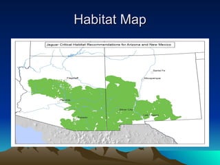 Habitat Map 