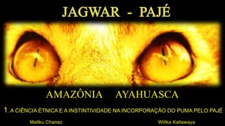 AMAZÔNIA AYAHUASCA
A
1. A CIÊNCIA ÉTNICA E A INSTINTIVIDADE NA INCORPORAÇÃO DO PUMA PELO PAJÉ
Mallku Chanez Willka Kallawaya
 