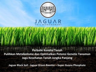Perbaiki Kondisi Tanah
Pulihkan Metabolisme dan Optimalkan Potensi Genetic Tanaman
Jaga Kesehatan Tanah Jangka Panjang
Jaguar Black Soil - Jaguar Green Booster – Super Guano Phosphate
 
