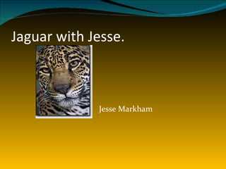 Jaguar with Jesse. ,[object Object]