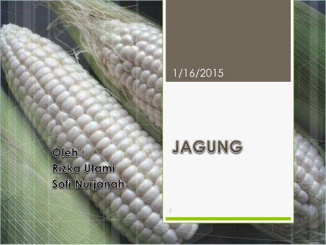 Jagung