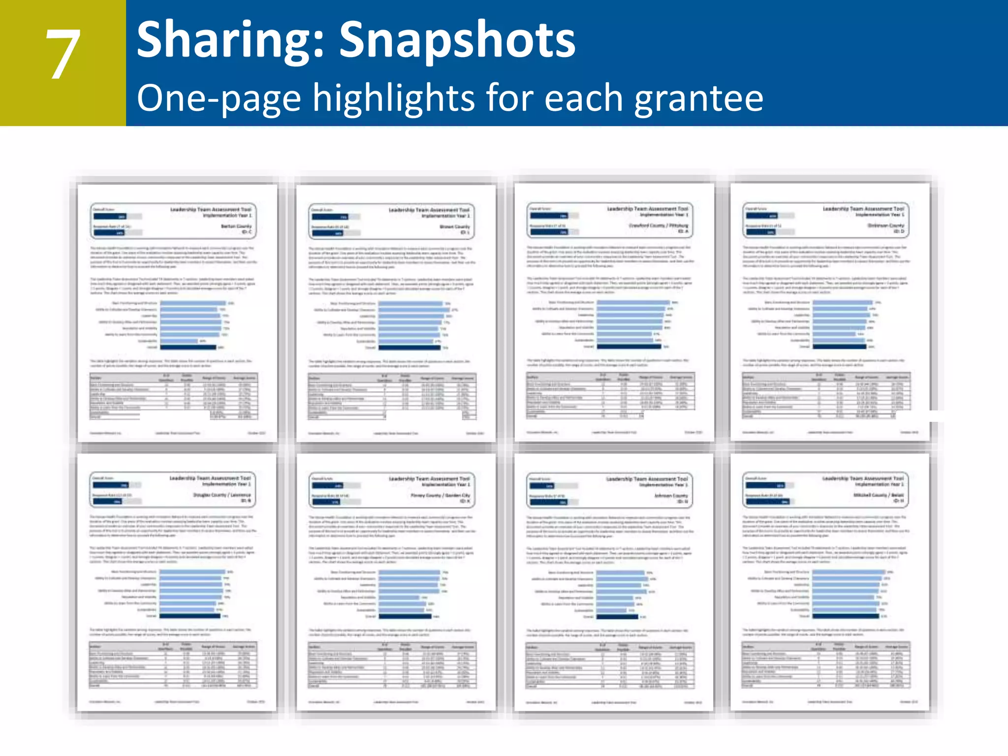 Sharing: Snapshots
One-page highlights for each grantee
7
 