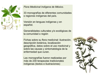 Flora Medicinal Indígena de México.  33 monografías de diferentes comunidades o regiones indígenas del país. Versión en lenguas indígenas y en español.  Generalidades culturales y/o ecológicas de la comunidad o región Fichas sobre su flora medicinal: ilustración, descripción botánica, localización geográfica, datos sobre el uso medicinal y sobre las causas y sintomatología de la enfermedad que curan.  Las monografías fueron realizadas por más de 230 terapeutas tradicionales indígenas (textos e ilustraciones) 