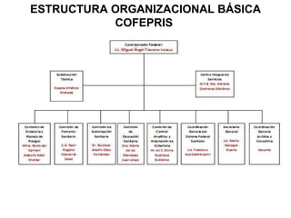 ESTRUCTURA ORGANIZACIONAL BÁSICA COFEPRIS  