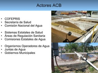 Actores ACB COFEPRIS Secretaría de Salud  Comisión Nacional del Agua Sistemas Estatales de Salud Áreas de Regulación Sanitaria Comisiones Estatales de Agua Organismos Operadores de Agua Juntas de Agua Gobiernos Municipales  