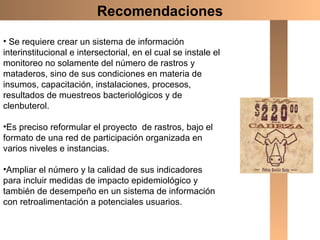 Se requiere crear un sistema de información interinstitucional e intersectorial, en el cual se instale el monitoreo no solamente del número de rastros y mataderos, sino de sus condiciones en materia de insumos, capacitación, instalaciones, procesos, resultados de muestreos bacteriológicos y de clenbuterol. Es preciso reformular el proyecto  de rastros, bajo el formato de una red de participación organizada en varios niveles e instancias. Ampliar el número y la calidad de sus indicadores para incluir medidas de impacto epidemiológico y también de desempeño en un sistema de información con retroalimentación a potenciales usuarios.  Recomendaciones 