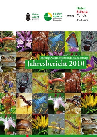 Stiftung NaturSchutzFonds Brandenburg

Jahresbericht 2010
 