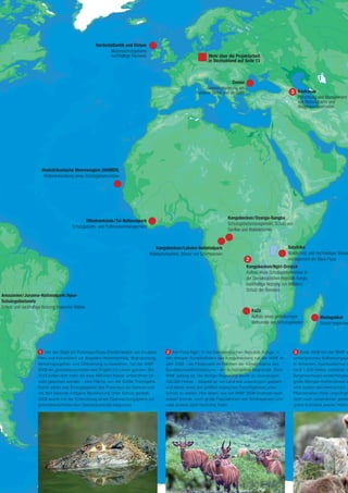 Nordostatlantik und Ostsee
                                                           Meeresschutzgebiete,
                                                           nachhaltige Fischerei                                   Mehr über die Projektarbeit
                                                                                                                   in Deutschland auf Seite 13



                                                                                                                                Donau
                                                                                                                  Auenrenaturierung am
                                                                                                             unteren Strom und im Delta                                Kaukasus
                                                                                                                                                                       Einrichtung und Management
                                                                                                                                                                       von Nationalparks und
                                                                                                                                                                       Biosphärenreservaten




                      Westafrikanische Meeresregion (WAMER)
                       Weiterentwicklung eines Schutzgebietsnetzes




                                                                                                                              Kongobecken/Dzanga-Sangha
                                               Elfenbeinküste/Tai-Nationalpark
                                                                                                                              Schutzgebietsmanagement, Schutz von
                                        Schutzgebiets- und Pufferzonenmanagement
                                                                                                                              Gorillas und Waldelefanten


                                                                                      Kongobecken/Lobeke-Nationalpark                                            Ostafrika
                                                                                   Waldschutzgebiet, Schutz von Schimpansen                                      Waldschutz und nachhaltiges Wasse
                                                                                                                                                                 management am Mara-Fluss
                                                                                                                                          Kongobecken/Ngiri-Dreieck
                                                                                                                                          Aufbau eines Schutzgebietsnetzes in
                                                                                                                                          der Demokratischen Republik Kongo,
                                                                                                                                          nachhaltige Nutzung von Wäldern;
                                                                                                                                          Schutz der Bonobos
Amazonien/Juruena-Nationalpark/Apui-
Schutzgebietsnetz
Schutz und nachhaltige Nutzung tropischer Wälder
                                                                                                                                            KaZa
                                                                                                                                            Aufbau eines großräumigen             Madagaskar
                                                                                                                                            Verbundes von Schutzgebieten          Schutz tropischer




                     1 Um den Wald am Putumayo­Fluss (Dreiländereck von Ecuador,            2 Am Fluss Ngiri, in der Demokratischen Republik Kongo, in               3 Ende 2008 hat der WWF z
                    Peru und Kolumbien) vor illegalem Holzeinschlag, Brandrodung,          den riesigen Sumpfwäldern des Kongobeckens hat der WWF im                umfangreiches Aufforstungspr
                    Verkehrsprojekten und Ölförderung zu bewahren, hat der WWF             Jahr 2009 – als Pilotprojekt im Rahmen der Klimainitiative des           In Armenien, Aserbaidschan u
                    2009 ein grenzüberschreitendes Projekt ins Leben gerufen. Bis          Bundesumweltministeriums – ein Schutzgebiet begründet. Dem               rund 1.400 Hektar zerstörter o
                    2013 sollen dort mehr als zwei Millionen Hektar unberührter Ur­        WWF gelang es, die dortige Regierung davon zu überzeugen,                Bergmischwald wiederhergest
                    wald gesichert werden – eine Fläche von der Größe Thüringens.          700.000 Hektar – doppelt so viel Land wie ursprünglich geplant –         große Mengen Kohlendioxid in
                    Damit wären das Einzugsgebiet des Putumayo als Ganzes und              und damit eines der größten tropischen Feuchtgebiete unter               wird zudem den heimischen, z
                    die dort lebende indigene Bevölkerung unter Schutz gestellt.           Schutz zu stellen. Hier leben, wie der WWF 2009 erstmals nach­           Pflanzenarten ihren ursprüngli
                    2009 wurde mit der Entwicklung eines Überwachungsplans zur             weisen konnte, noch große Populationen von Schimpansen und               Jetzt noch voneinander getren
                    grenzüberschreitenden Gebietskontrolle begonnen.                       viele andere stark bedrohte Arten.                                       grüne Korridore wieder miteina
 