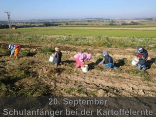 Jahresrückblick 2012