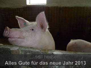Jahresrückblick 2012