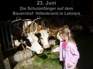 Jahresrückblick 2012