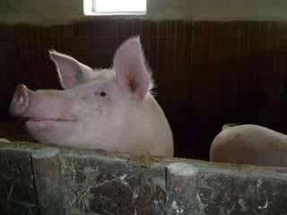 Jahresrückblick 2012