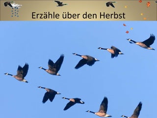 Erzähle über den Herbst

 