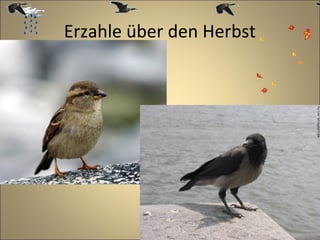 Erzahle über den Herbst

 
