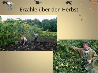 Erzahle über den Herbst

 