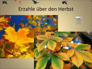 Erzahle über den Herbst

 
