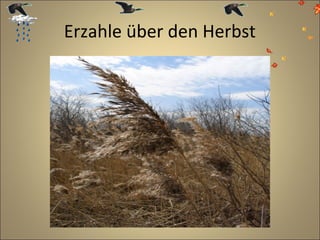 Erzahle über den Herbst

 