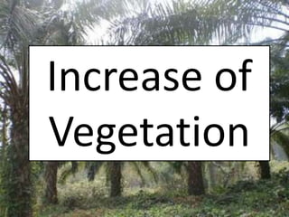 Increase of
Vegetation
 