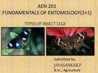 AEN 201
FUNDAMENTALS OF ENTOMOLOGY(2+1)
TYPES OF INSECT LEGS
Submitted by.,
JAYASANKAR.P
B.Sc., Agriculture
 