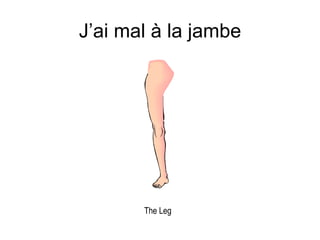 J’ai mal  à la jambe 