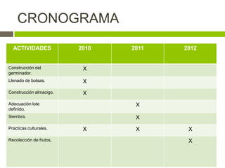 CRONOGRAMA
  ACTIVIDADES            2010   2011   2012


Construcción del          X
germinador.
Llenado de bolsas.        X
Construcción almacigo.    X
Adecuación lote                  X
definido.
Siembra.                         X
Practicas culturales.     X      X      X
Recolección de frutos,                  X
 