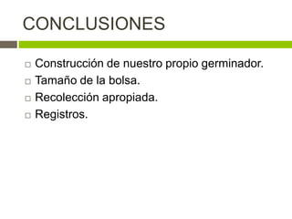 CONCLUSIONES

   Construcción de nuestro propio germinador.
   Tamaño de la bolsa.
   Recolección apropiada.
   Registros.
 