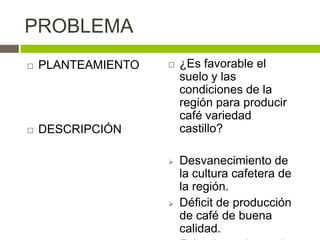PROBLEMA
   PLANTEAMIENTO      ¿Es favorable el
                        suelo y las
                        condiciones de la
                        región para producir
                        café variedad
   DESCRIPCIÓN         castillo?

                       Desvanecimiento de
                        la cultura cafetera de
                        la región.
                       Déficit de producción
                        de café de buena
                        calidad.
 