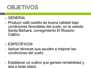 OBJETIVOS
   GENERAL
   Producir café castillo de buena calidad bajo
    condiciones favorables del suelo, en la vereda
    Santa Bárbara, corregimiento El Rosario-
    Cajibío.

   ESPECÍFICOS
   Aplicar técnicas que ayuden a mejorar las
    condiciones del suelo.

   Establecer un cultivo que genere rentabilidad y
    sea a largo plazo.
 