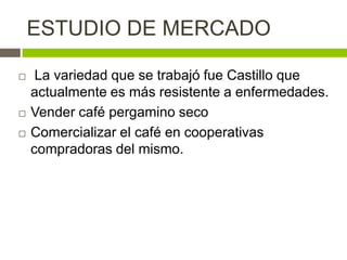 ESTUDIO DE MERCADO

    La variedad que se trabajó fue Castillo que
    actualmente es más resistente a enfermedades.
   Vender café pergamino seco
   Comercializar el café en cooperativas
    compradoras del mismo.
 