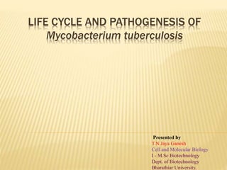 LIFE CYCLE AND PATHOGENESIS OF
Mycobacterium tuberculosis
Presented by
T.N.Jaya Ganesh
Cell and Molecular Biology
I - M.Sc Biotechnology
Dept. of Biotechnology
Bharathiar University.
 