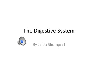 The Digestive System

   By Jaida Shumpert
 