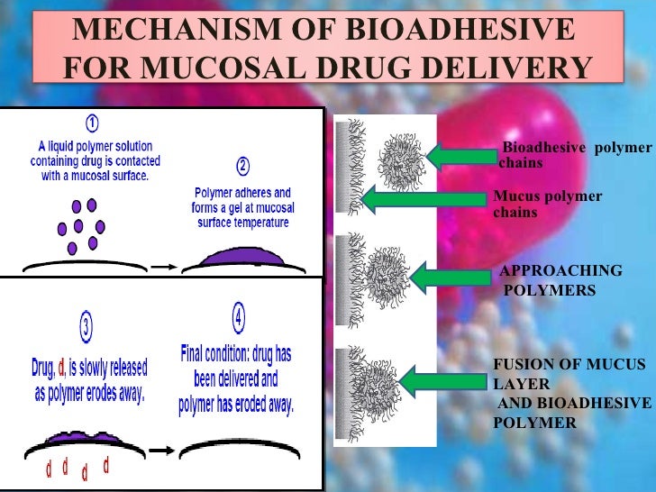 sodium alginate and polymer drug delivery systems biology essay Have shown potential for use as drug delivery systems room tem- low viscosity sodium alginate with a absorption of unwanted toxins biology essay. sodium alginate and polymer drug delivery systems biology essay Have shown potential for use as drug delivery systems room tem- low viscosity sodium alginate with a absorption of unwanted toxins biology essay.
